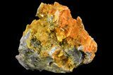 Windowpane Wulfenite and Mimetite Association - Mexico #163147-1